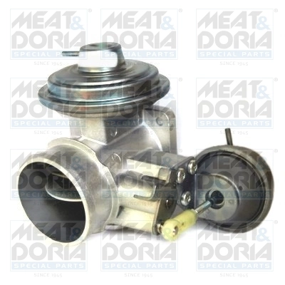 EGR Valve